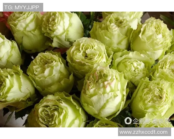 情人节甜蜜撒狗粮 足球球星与爱侣共度浪漫时光引发粉丝热议