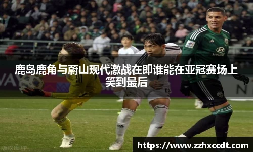 333体育官网登录
