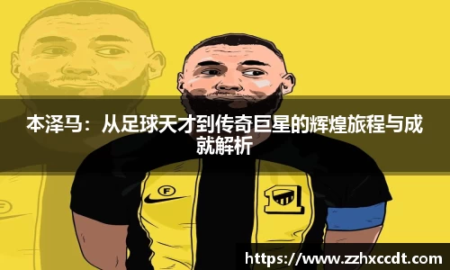 333体育官网登录